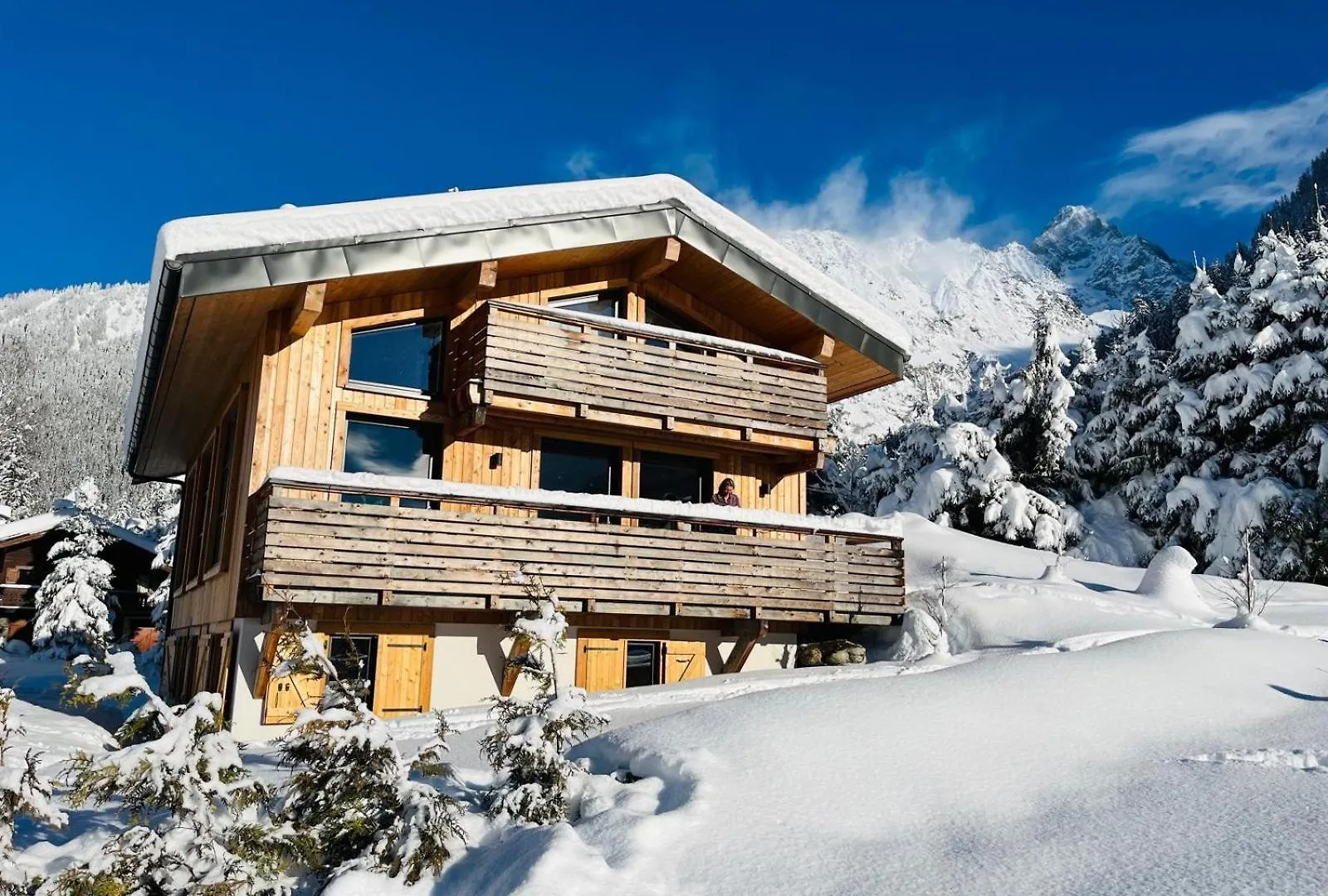 Chalet Les Grands Montets شامونكس